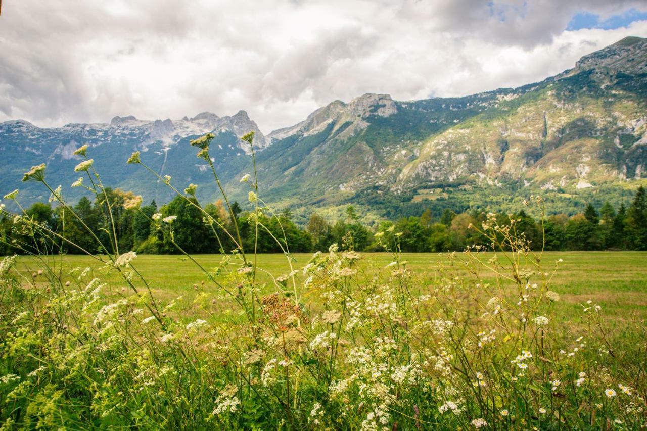 Apartments Wallas Bovec Dış mekan fotoğraf